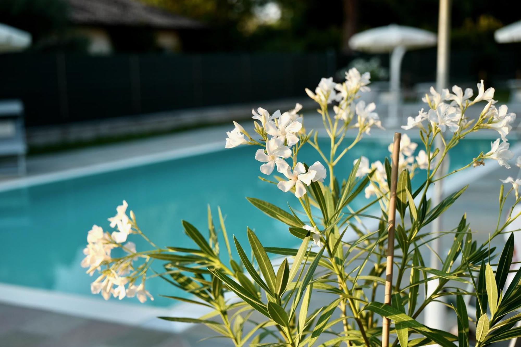 Caterina Residence Faenza Luaran gambar