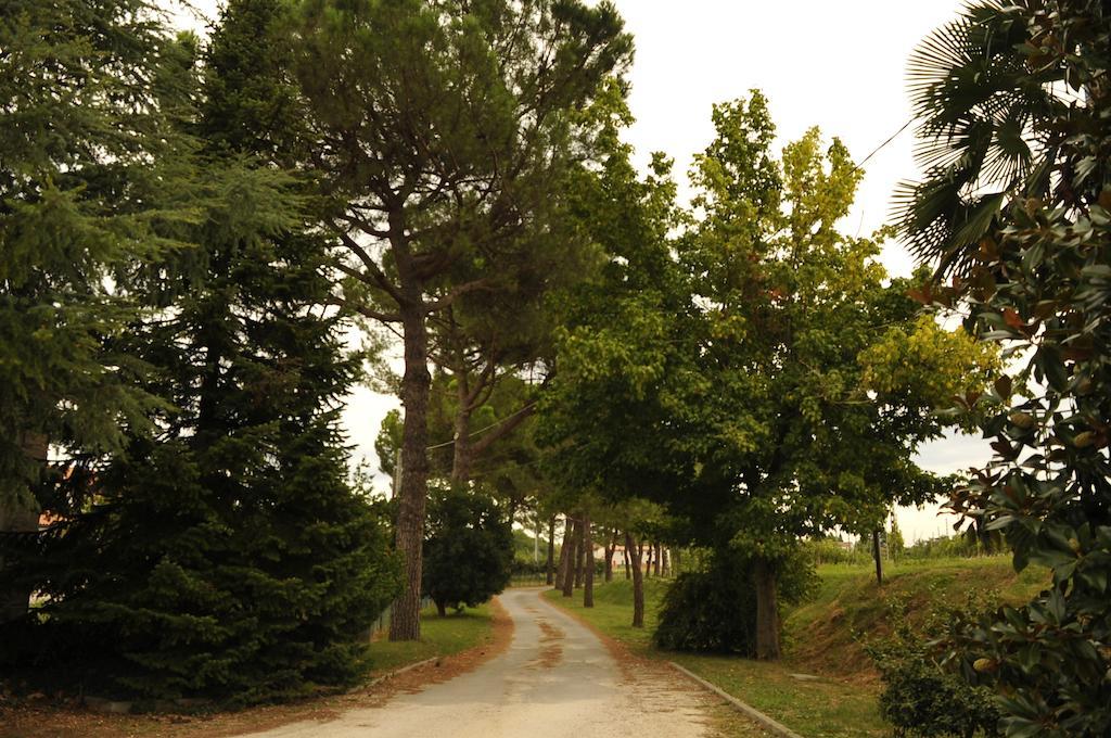 Caterina Residence Faenza Luaran gambar