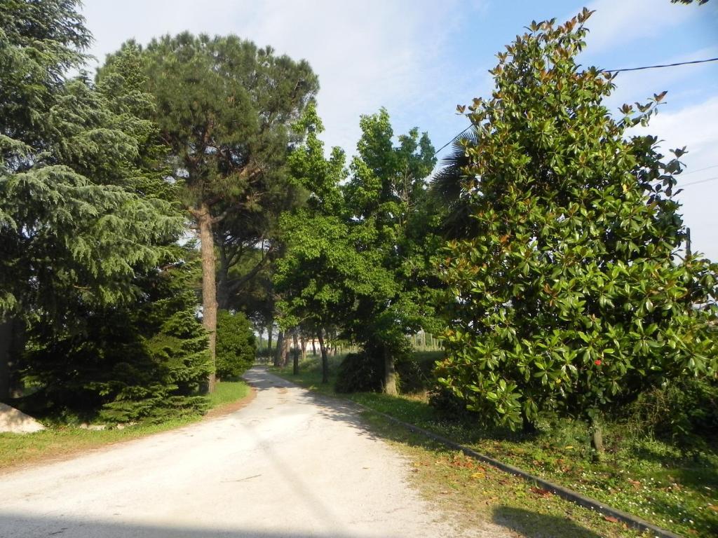 Caterina Residence Faenza Luaran gambar