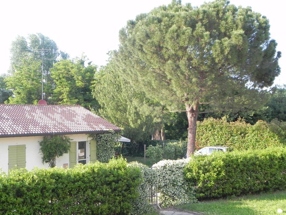 Caterina Residence Faenza Luaran gambar